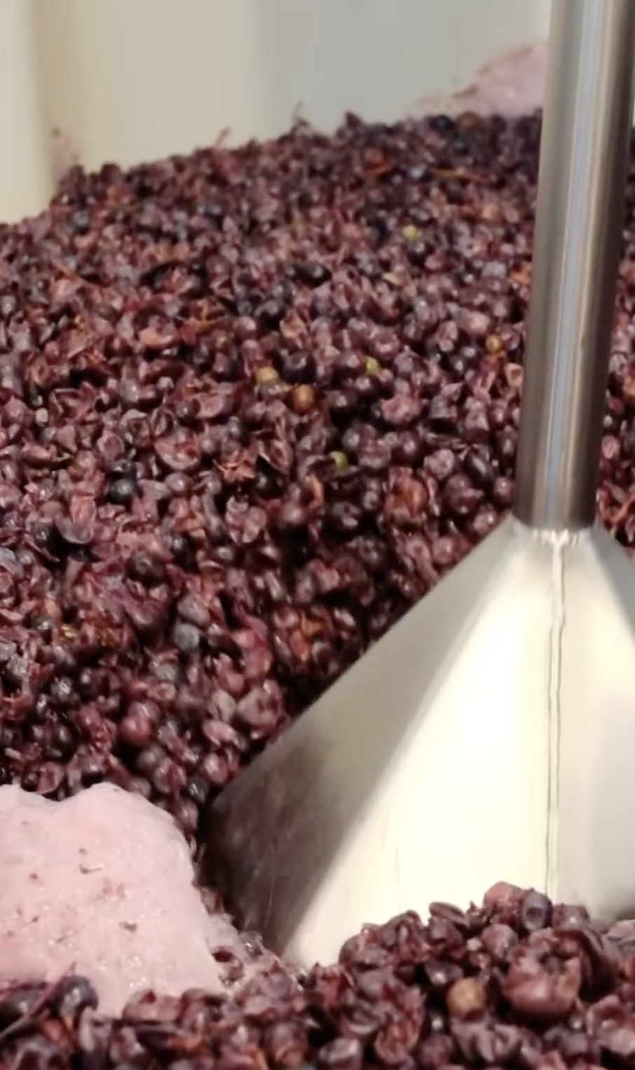 Screenshot 2026-02-28 at 8.44.25 PM.png