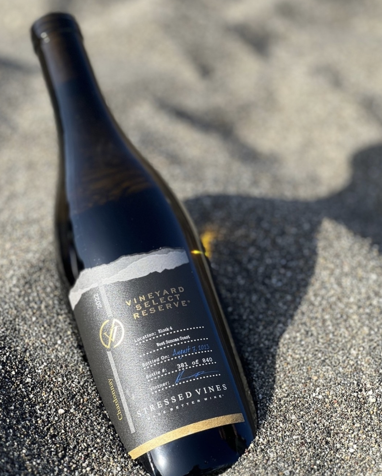 Screenshot 2026-02-28 at 8.52.19 PM.png