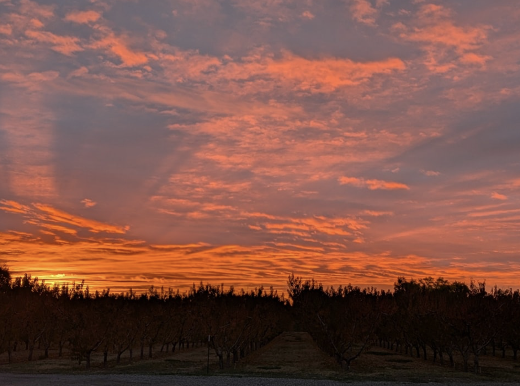 Screenshot 2026-02-28 at 9.44.50 PM.png