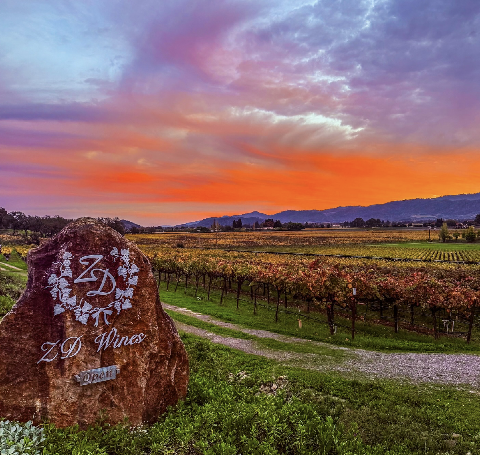 Screenshot 2026-02-28 at 9.33.51 PM.png