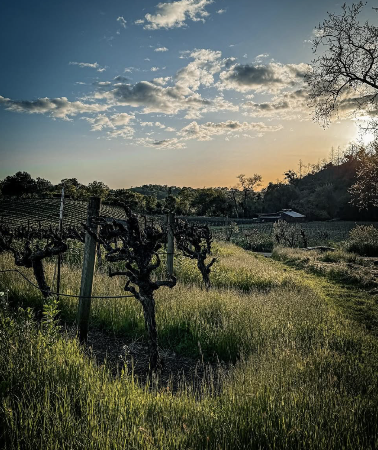 Screenshot 2026-02-28 at 10.25.22 PM.png