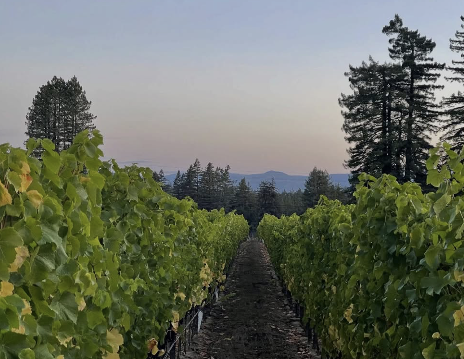 Screenshot 2026-02-28 at 8.25.40 PM.png