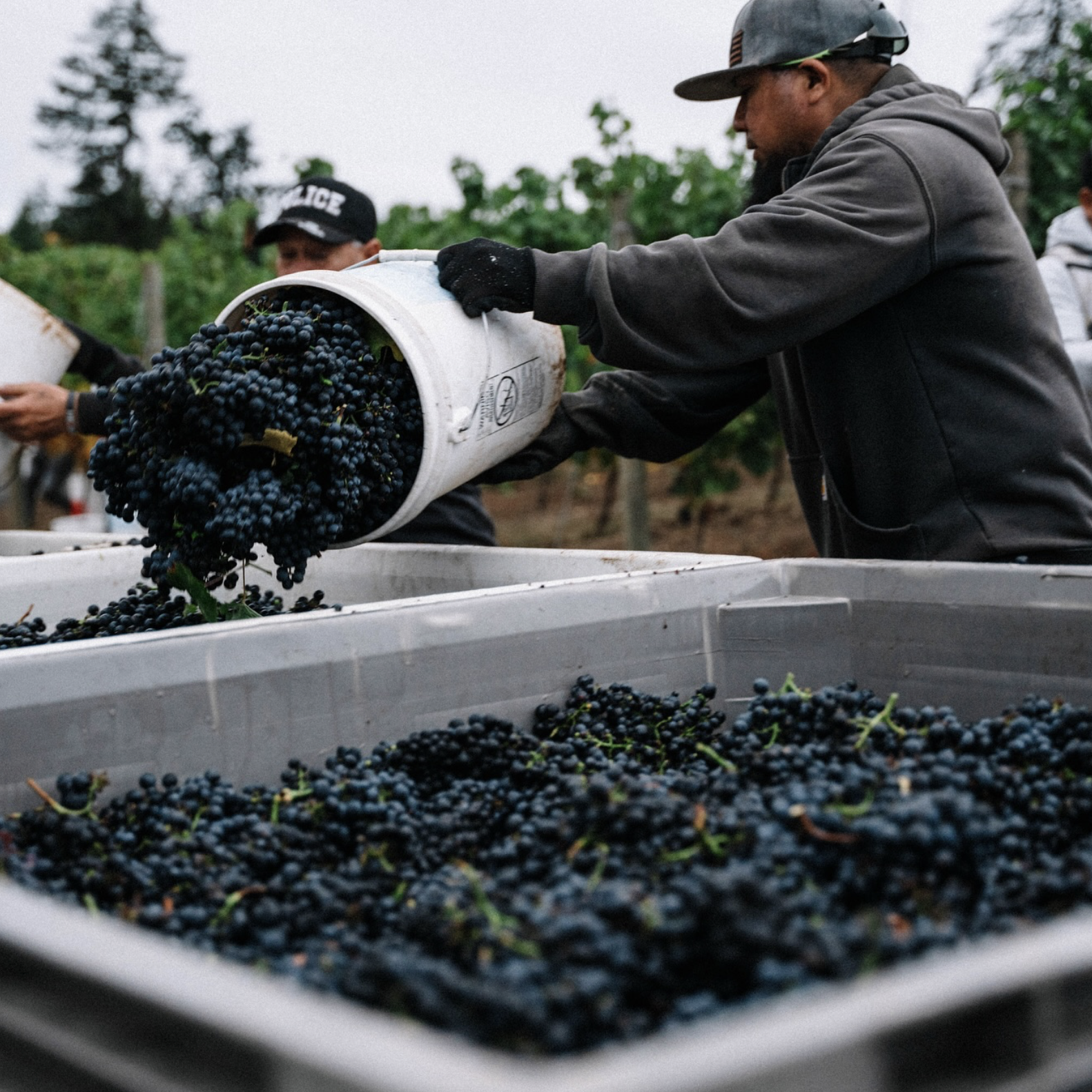 Screenshot 2026-02-28 at 10.02.10 PM.png