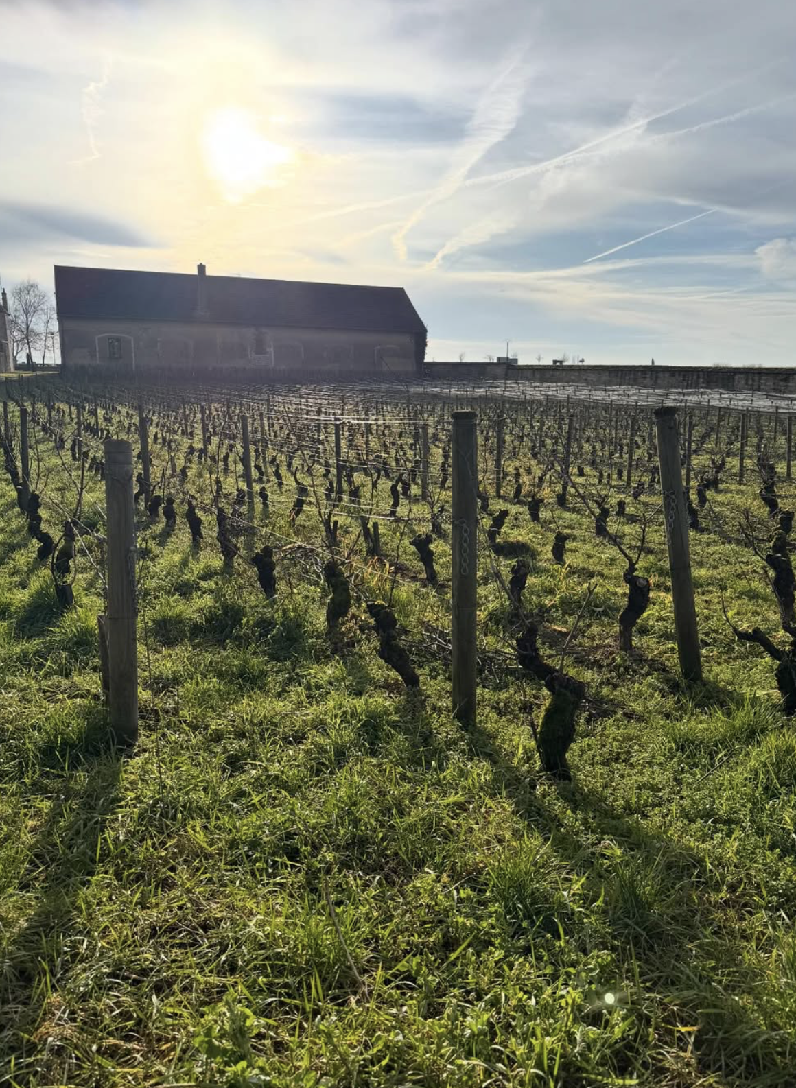 Screenshot 2026-02-28 at 8.25.13 PM.png