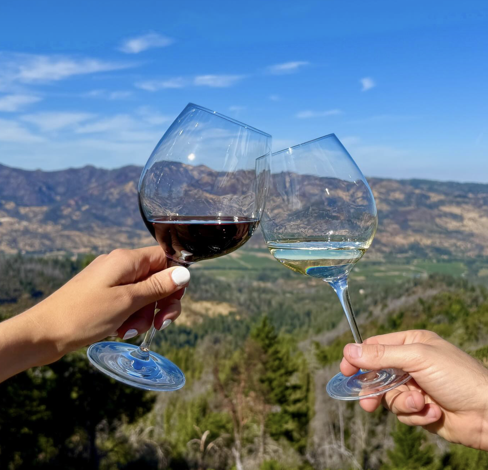 Screenshot 2026-02-28 at 9.16.58 PM.png