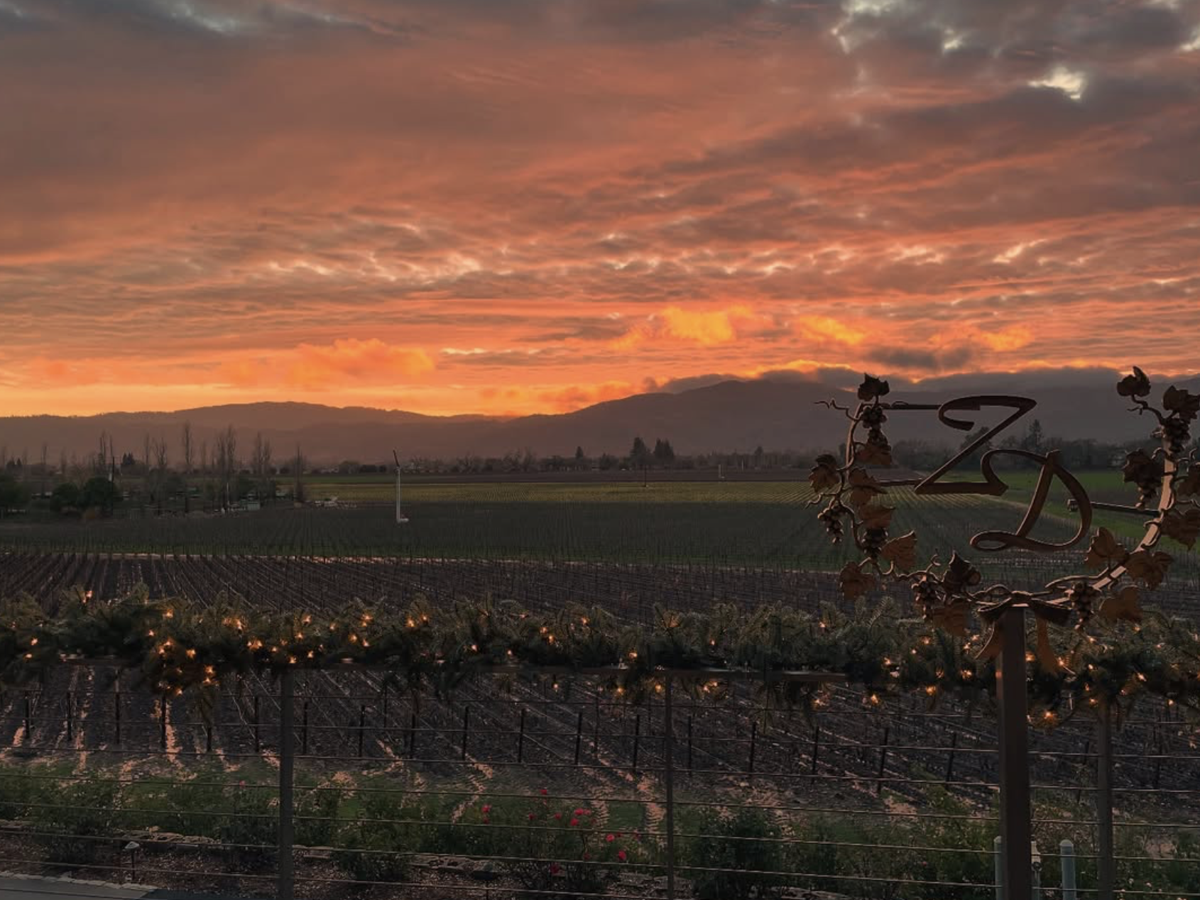 Screenshot 2026-02-28 at 9.34.23 PM.png