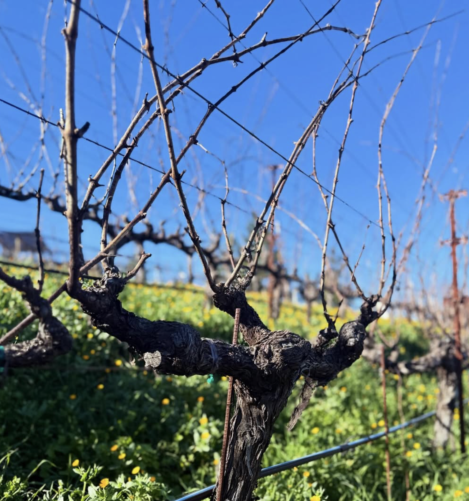 Screenshot 2026-02-28 at 9.16.22 PM.png