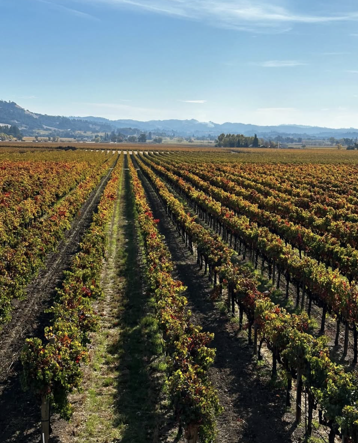 Screenshot 2026-02-28 at 10.25.41 PM.png