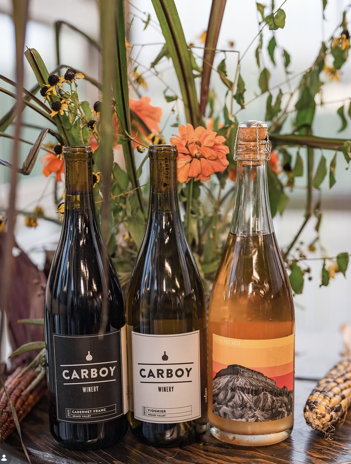 Screenshot 2026-02-28 at 9.09.13 PM.png