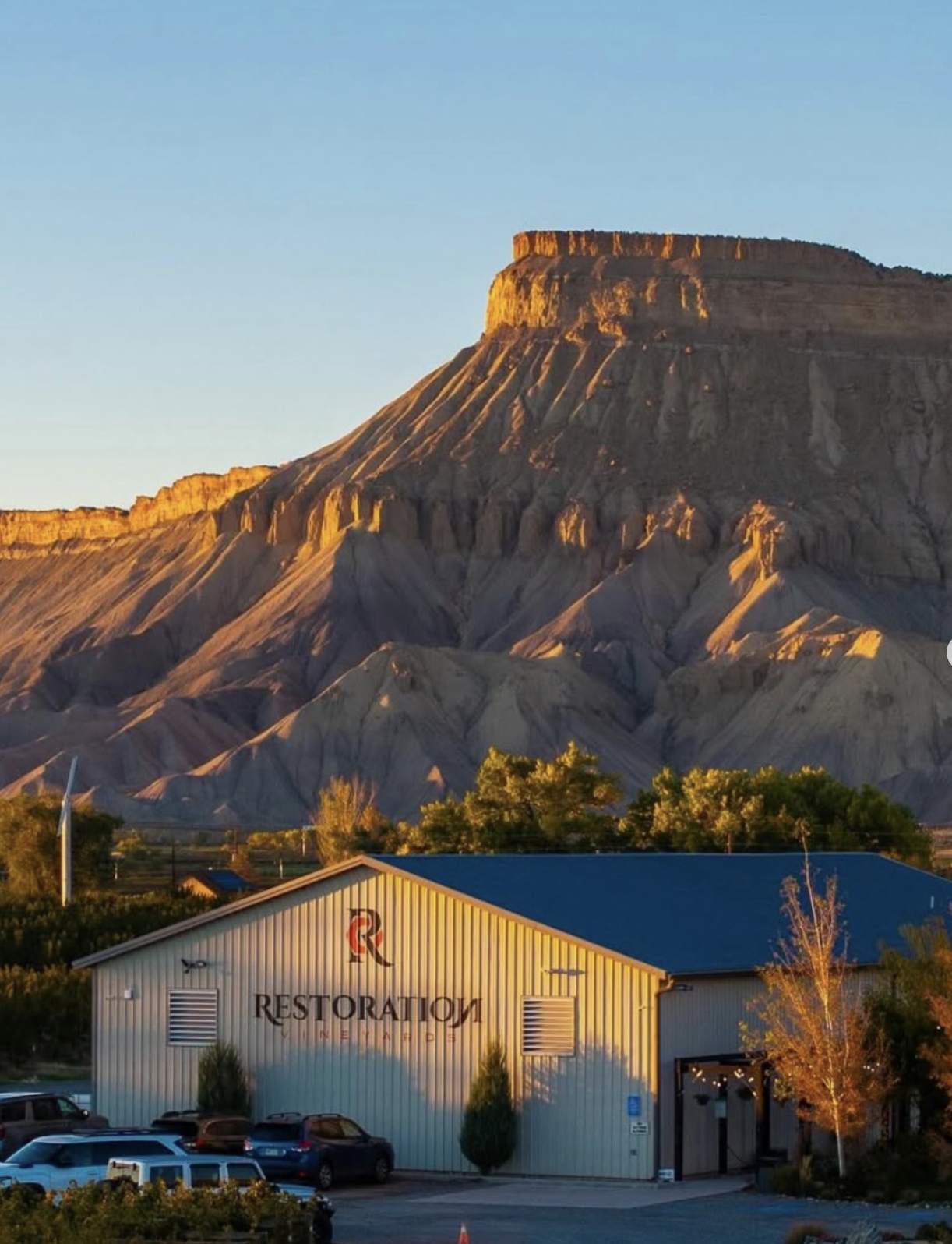 Screenshot 2026-02-28 at 9.43.20 PM.png