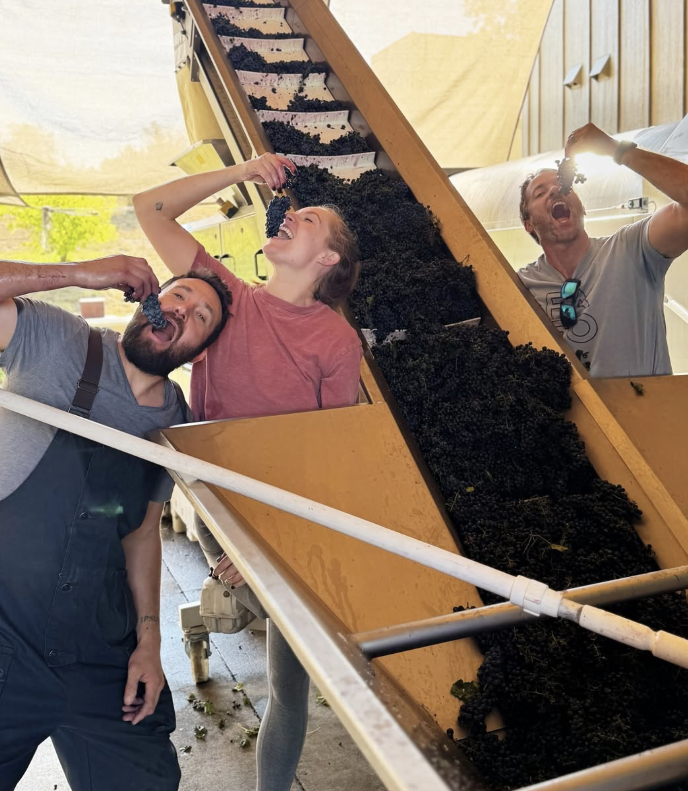 Screenshot 2026-02-28 at 9.06.00 PM.png