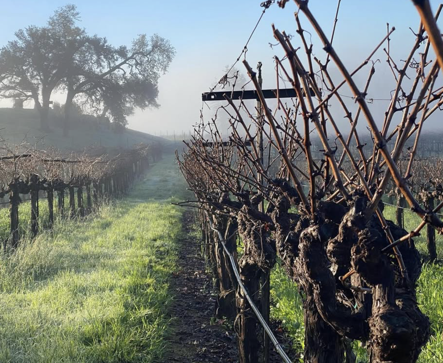 Screenshot 2026-02-28 at 10.26.21 PM.png