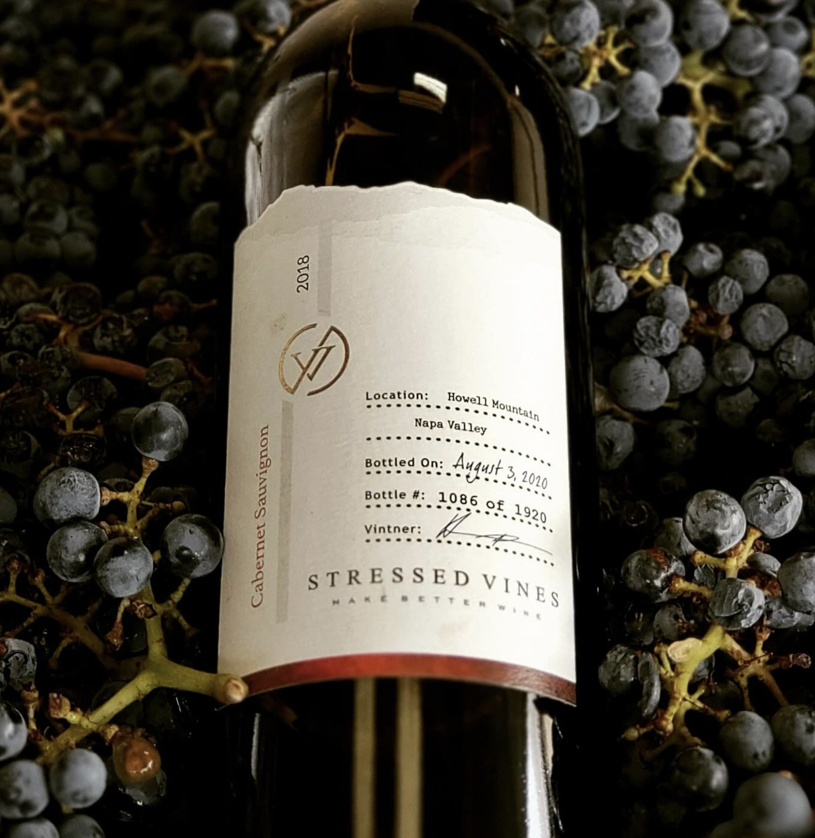 Screenshot 2026-02-28 at 8.52.31 PM.png