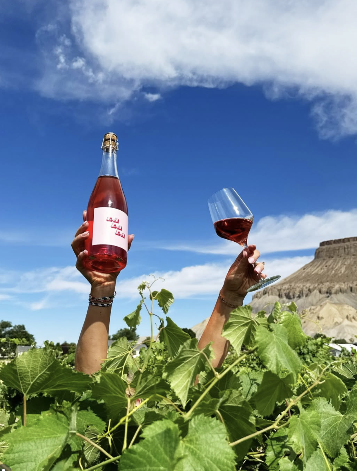 Screenshot 2026-02-28 at 9.06.47 PM.png