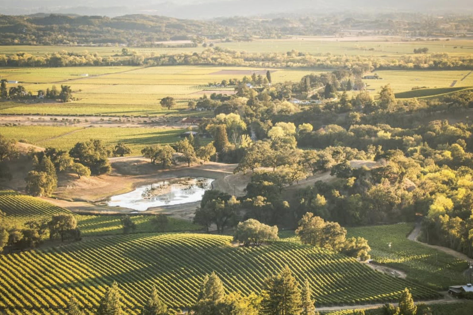 Screenshot 2026-02-28 at 10.25.53 PM.png