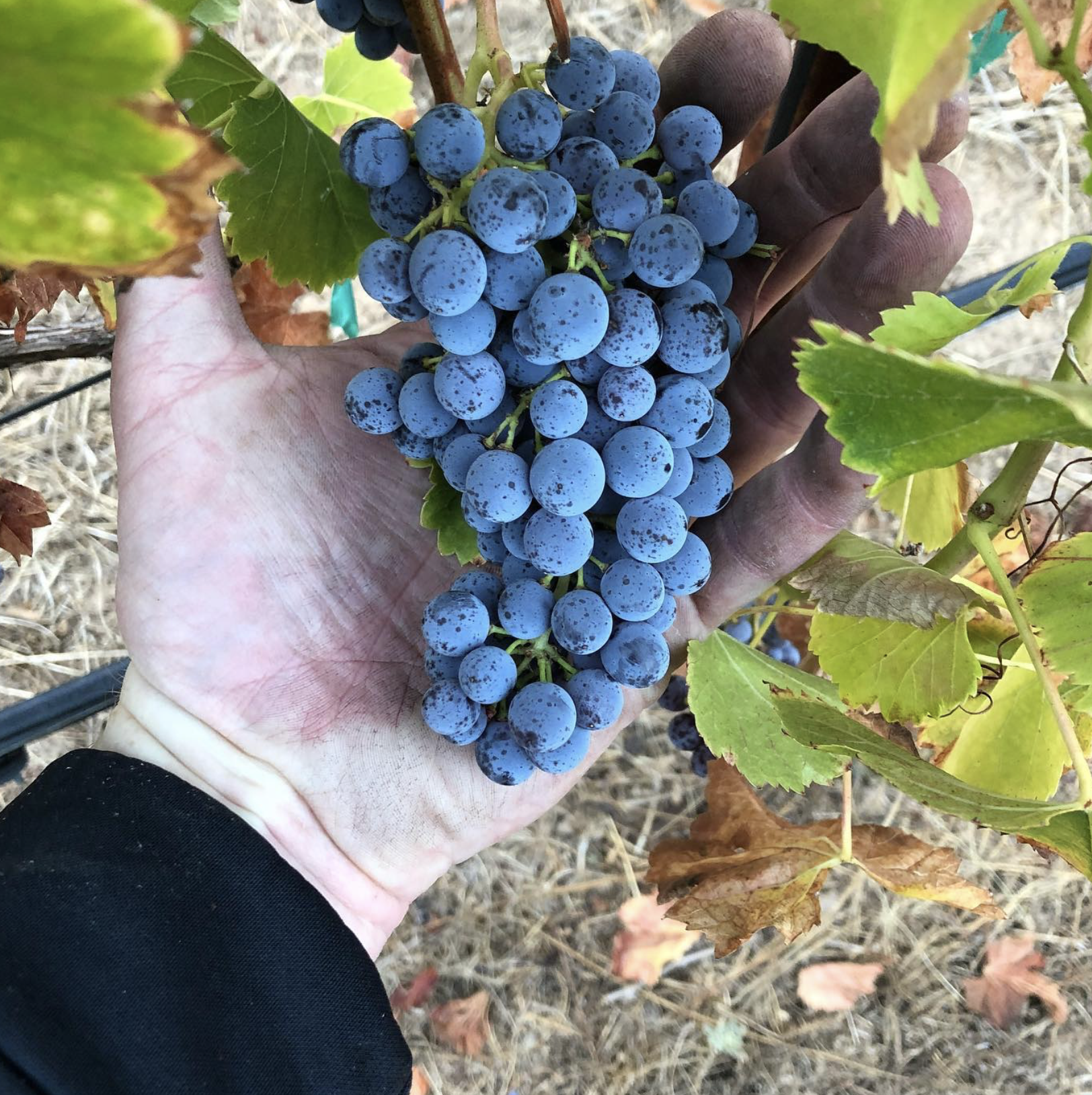 Screenshot 2026-02-28 at 10.07.01 PM.png