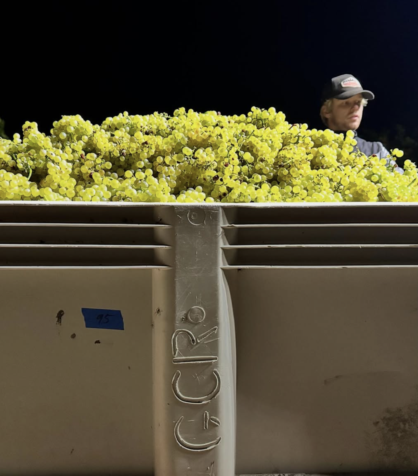 Screenshot 2026-02-28 at 10.25.11 PM.png