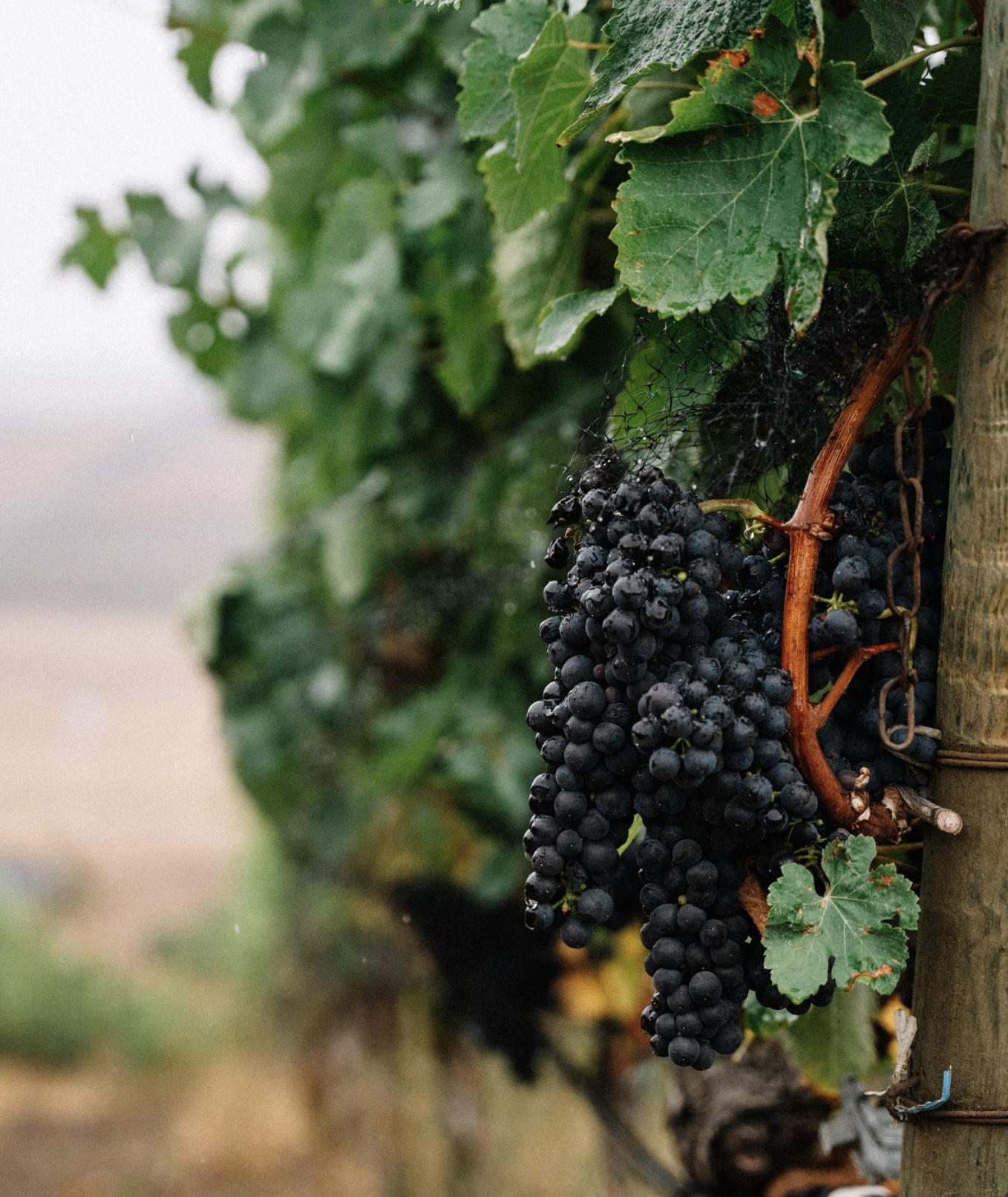 Screenshot 2026-02-28 at 10.02.20 PM.png