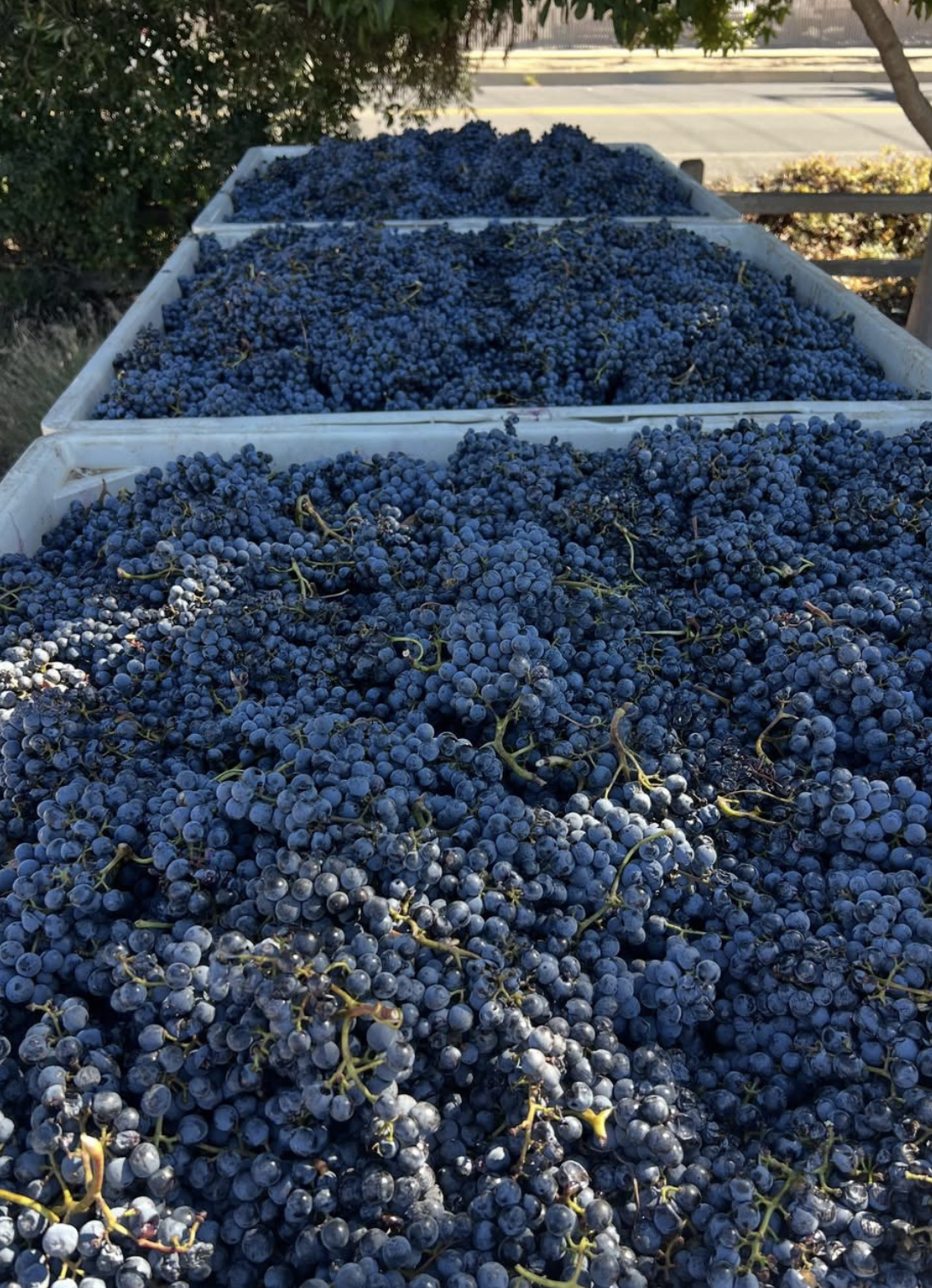 Screenshot 2026-02-28 at 8.15.19 PM.png