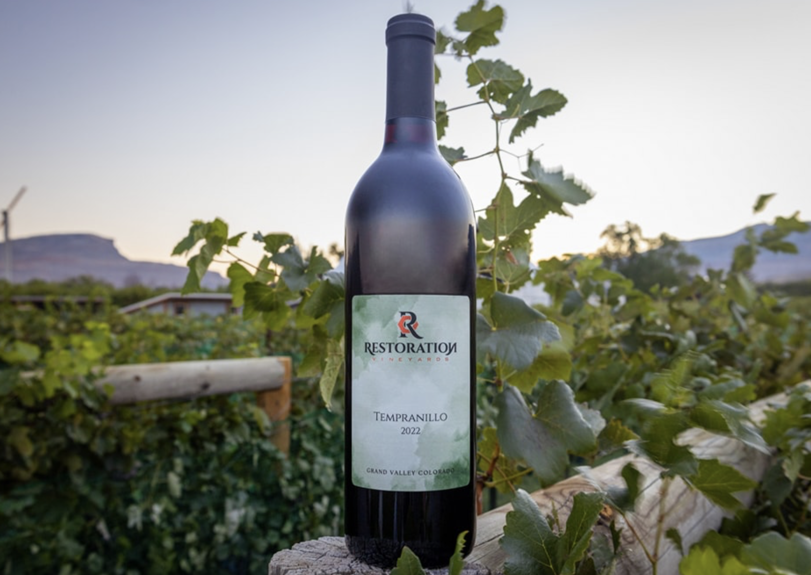 Screenshot 2026-02-28 at 9.45.37 PM.png