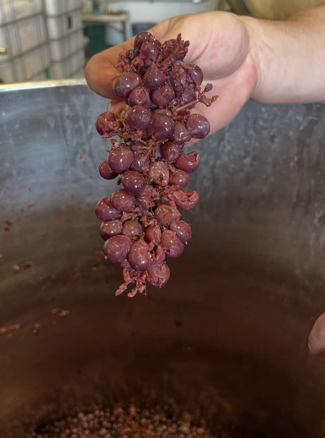 Screenshot 2026-02-28 at 8.12.44 PM.png