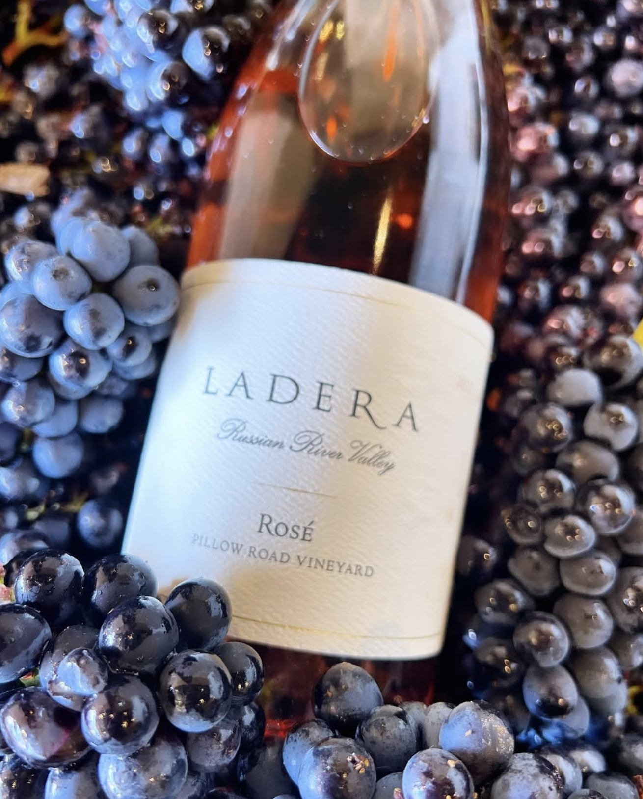 Screenshot 2026-02-28 at 8.36.21 PM.png