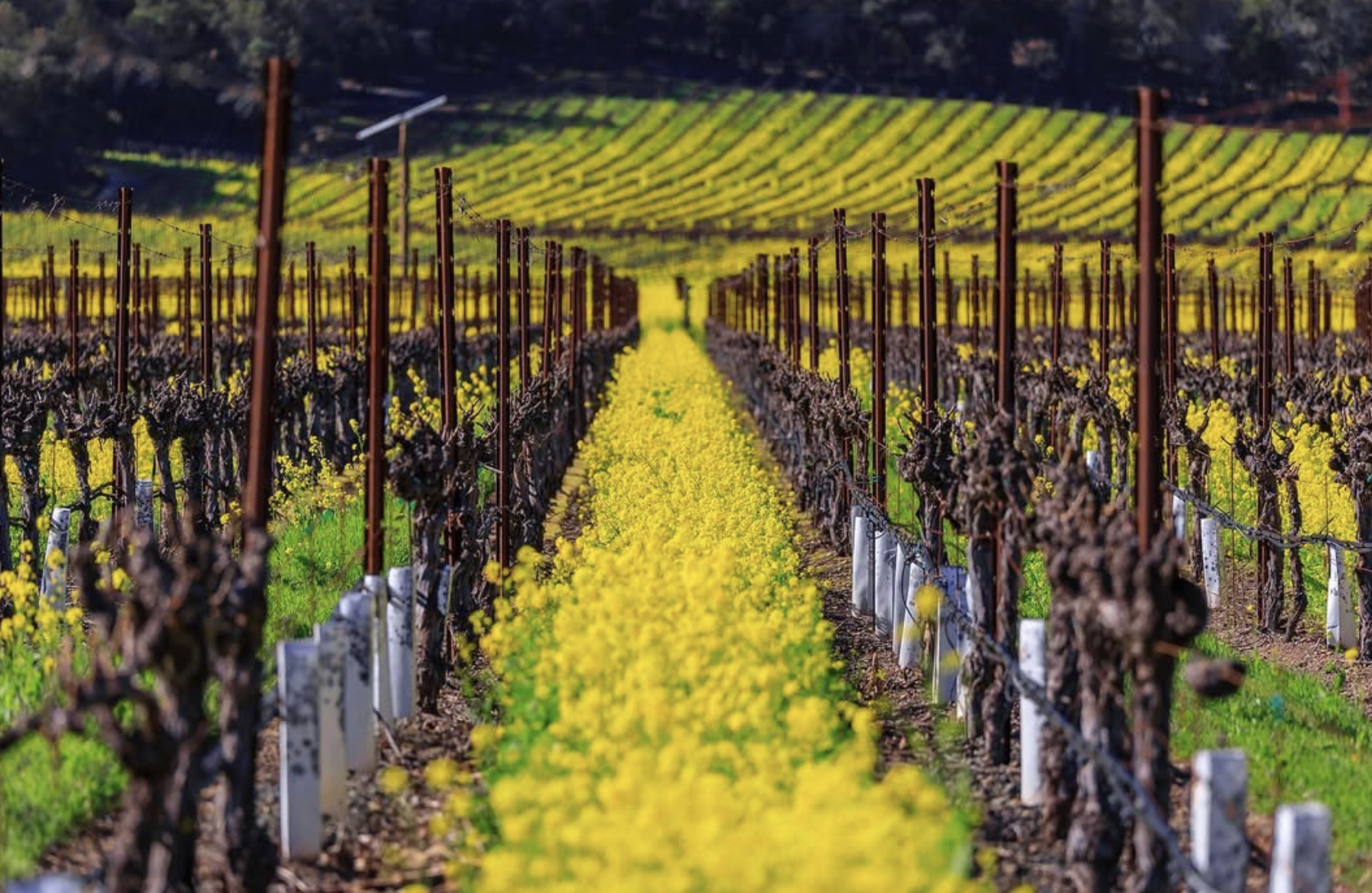 Screenshot 2026-02-28 at 8.37.44 PM.png