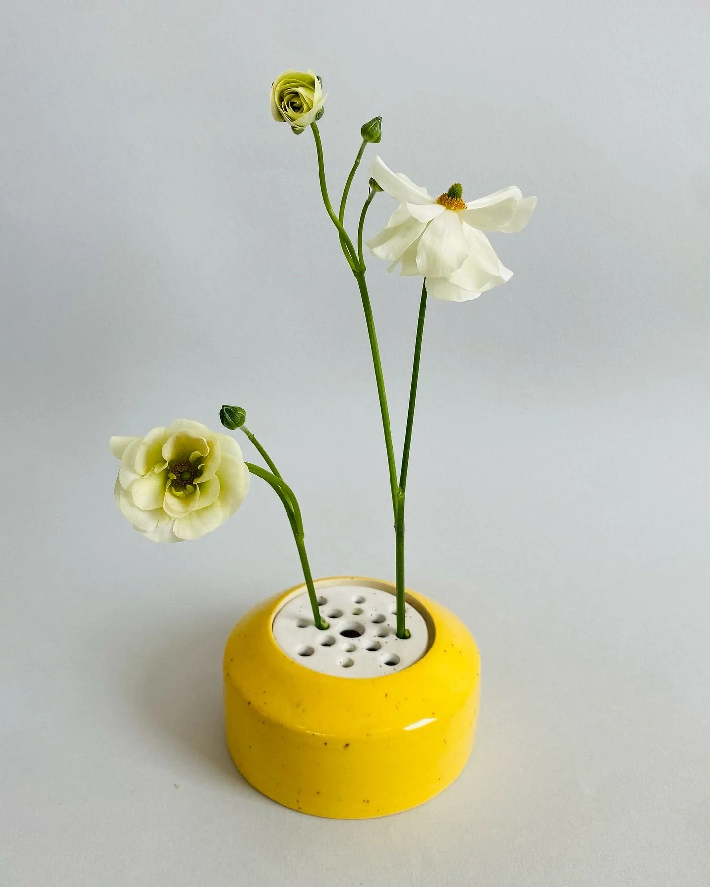 🌸 A few Flower Frogs have been added to my online shop - thank you to this magical flower from @pictusgoods for looking sooooo good 

#flowerfrog #flowers #flowervase #ceramicvase