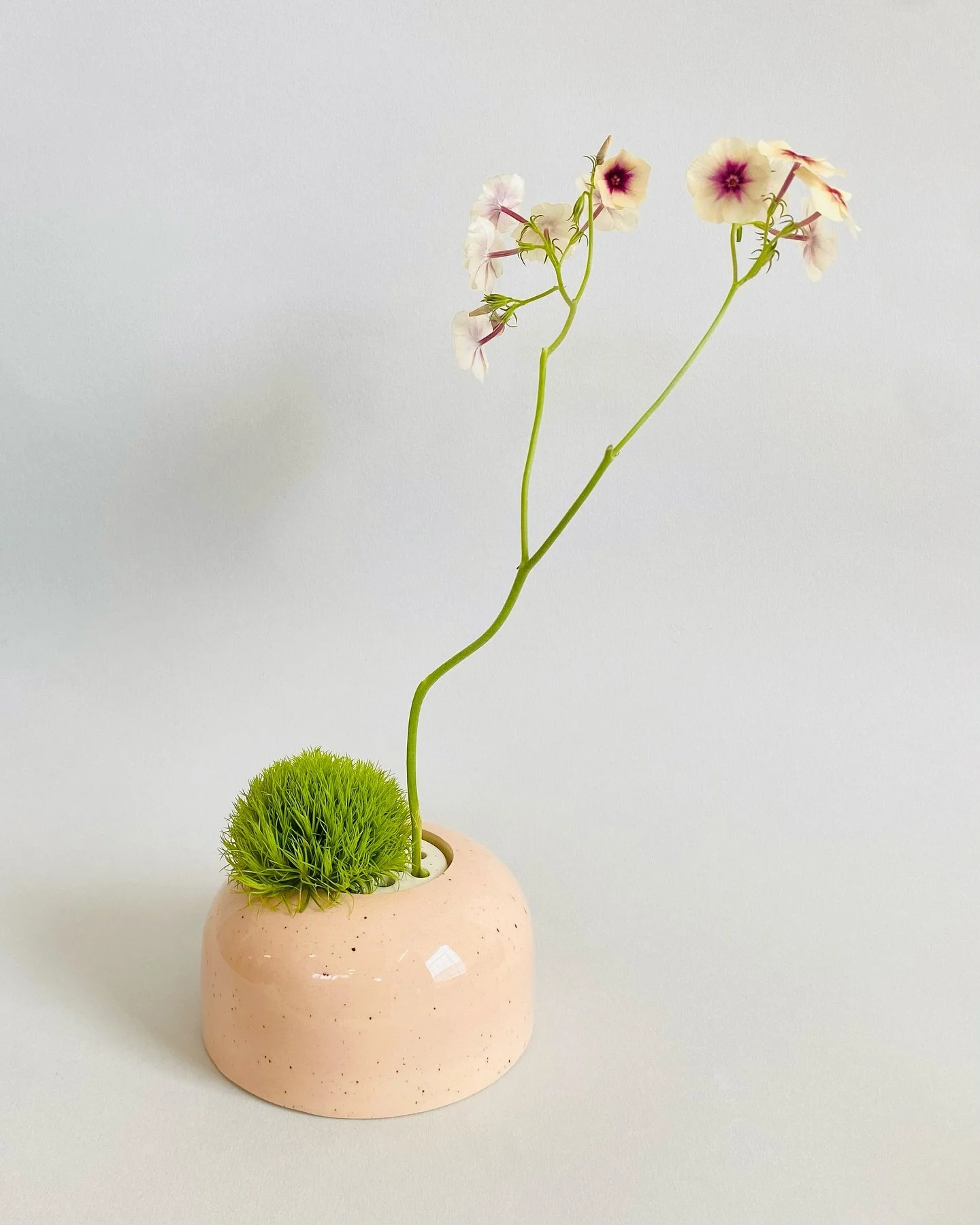 🌸 Flower Frogs also available in Pink

#flowers #flowervase #ceramicvase #handmade