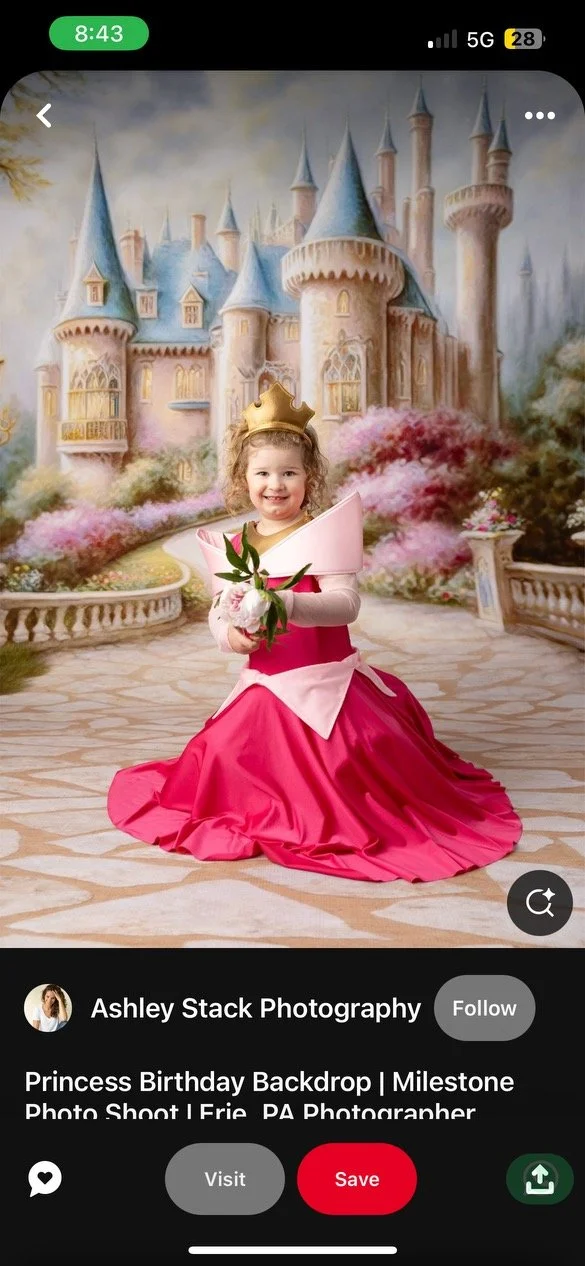 Princess + Superhero Minis