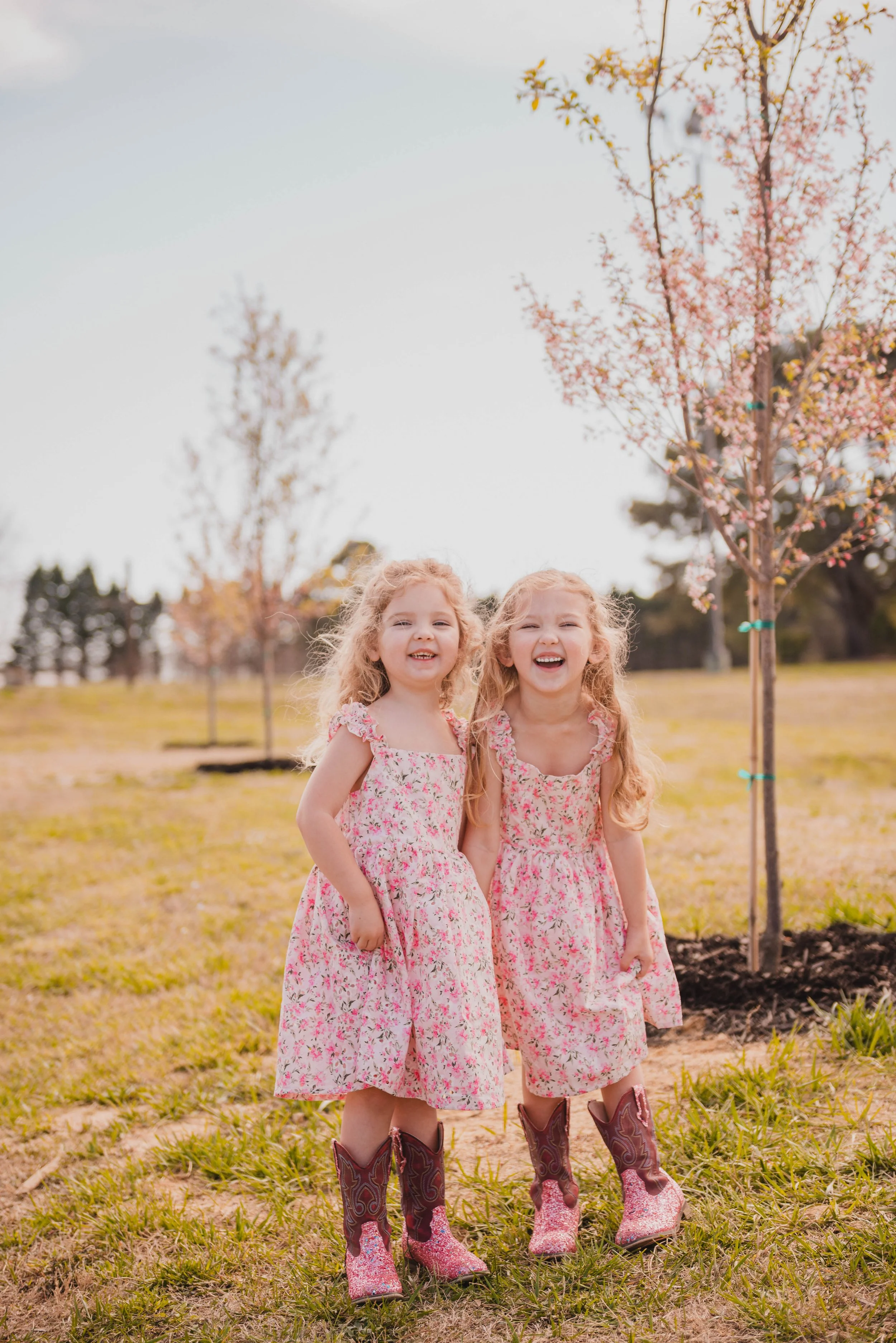Cherry Blossom Minis
