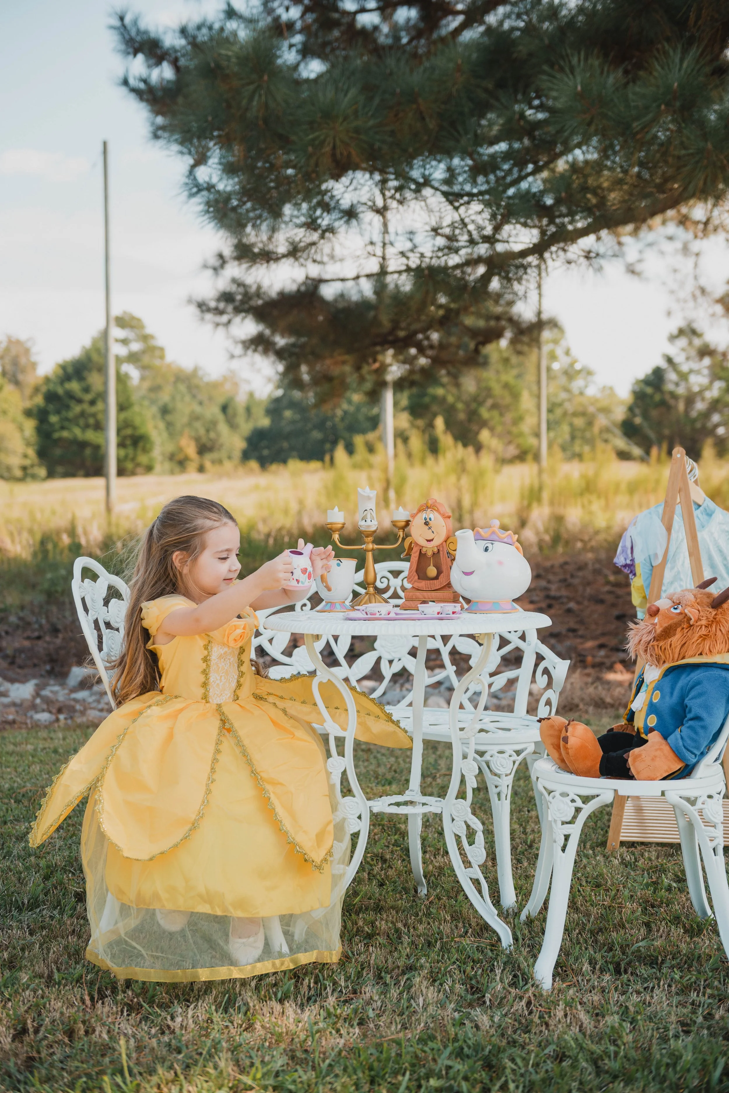 Princess Tea Party