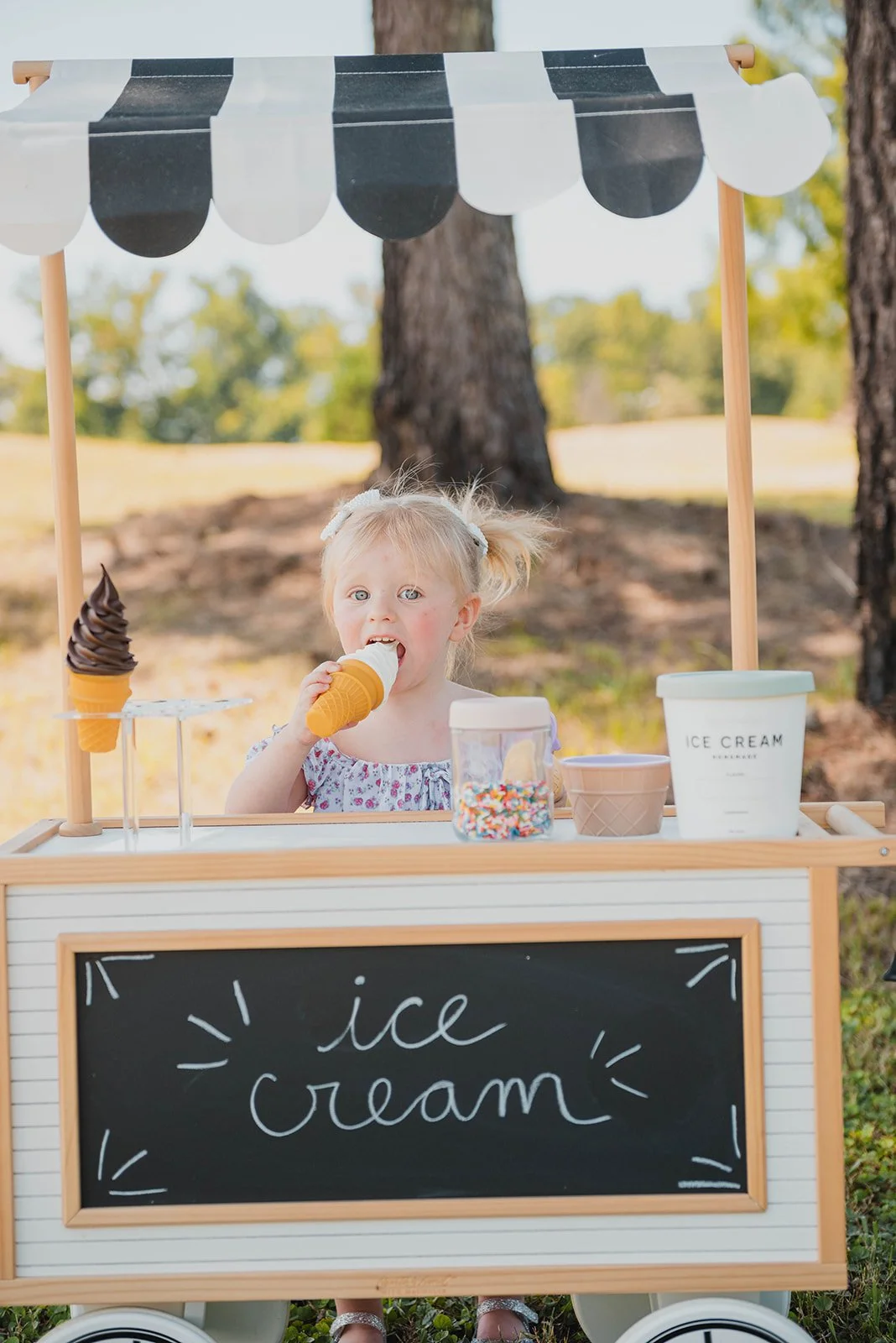 Ice Cream Shoppe Minis