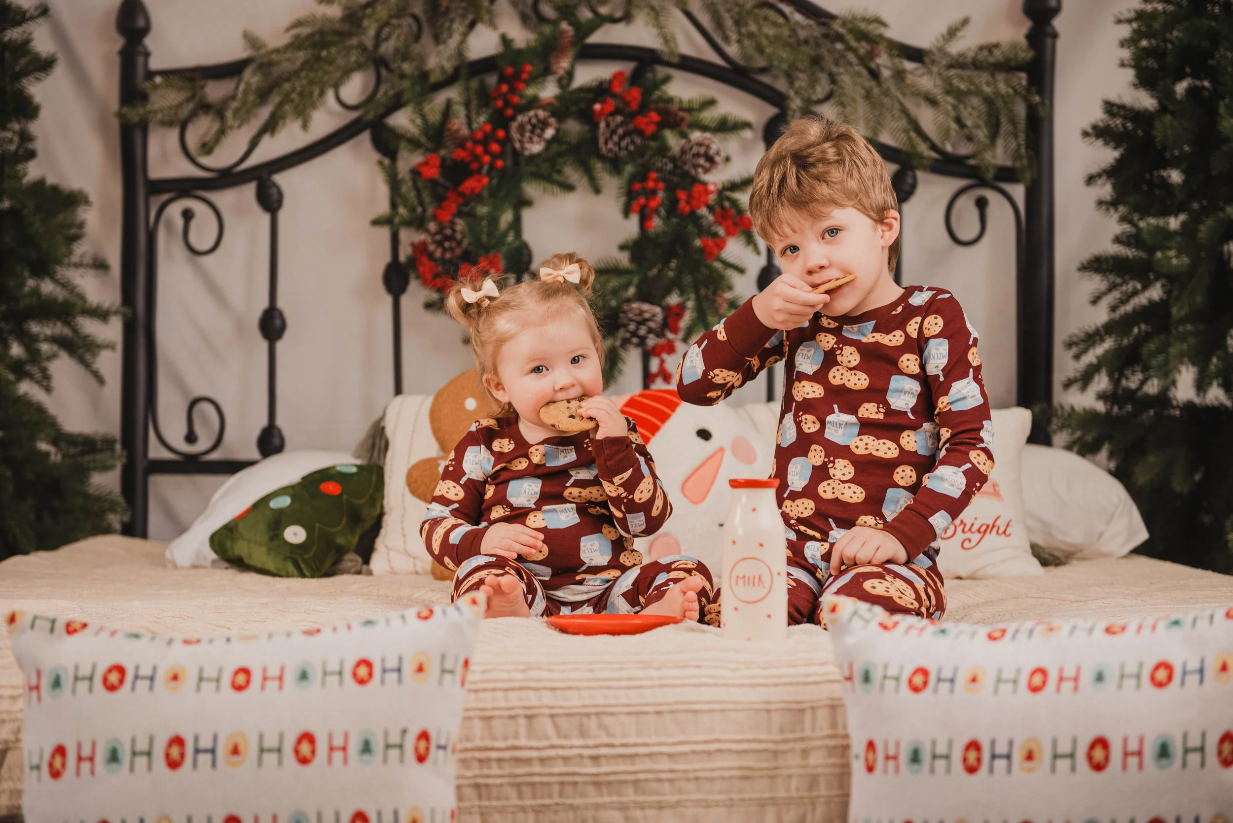 Gingerbread Cookie Minis