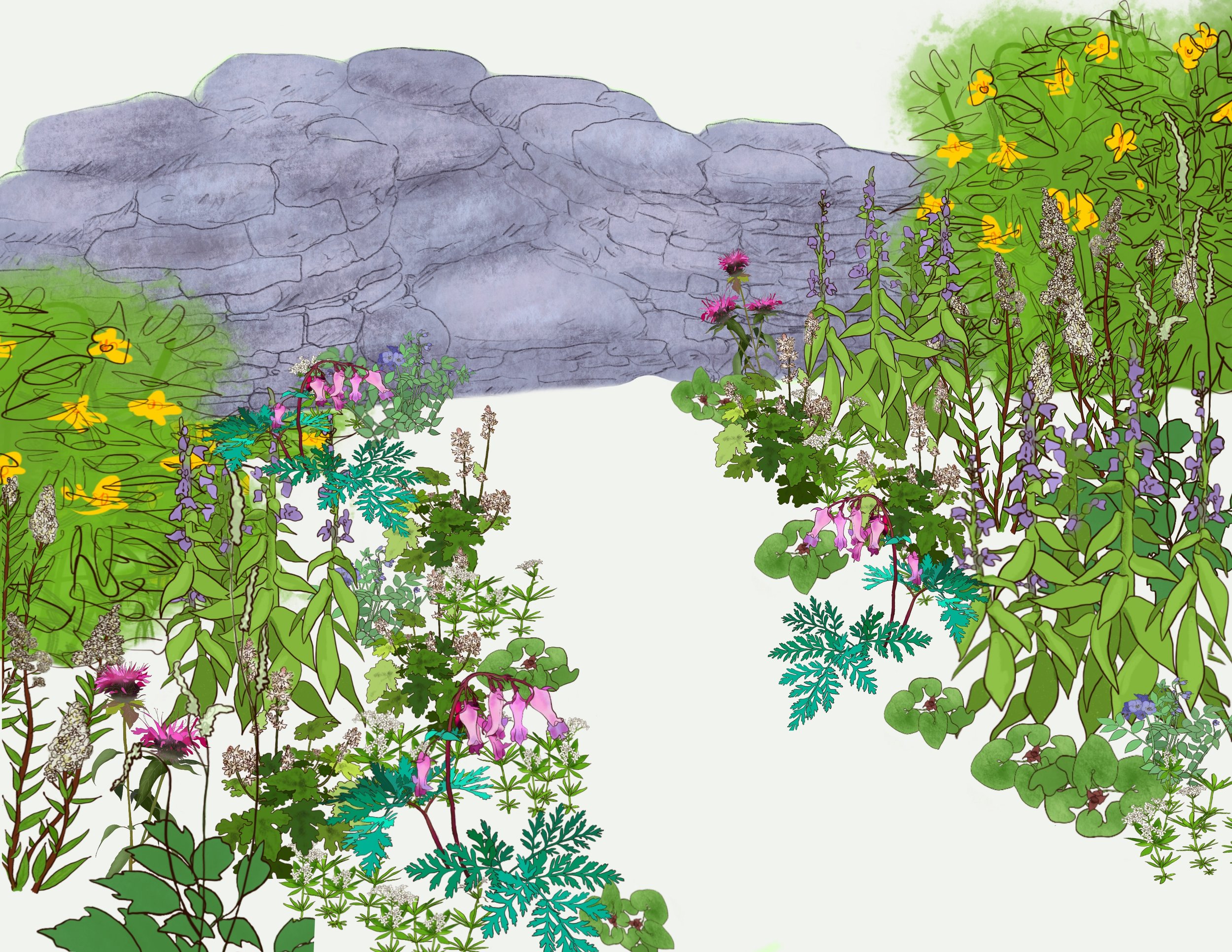 Shaded-Garden Design
