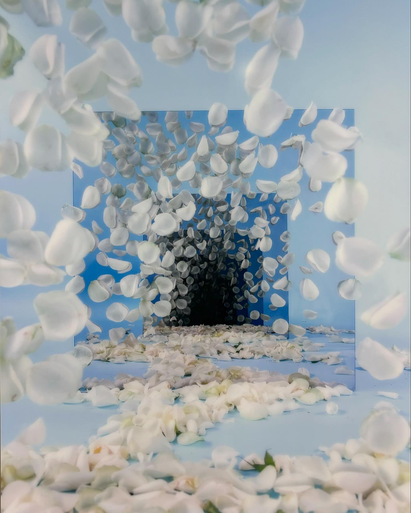 Gallery visits in Palm Beach
Some of my favorites:

Sarah Meyohas 
Carolyn Salas 
Nancy Lorenz 
Martine Poppe 

#brintzgallery #palmbeach #carolynsalas #nancylorenz #martinepoppe #galleryart #kandarte #dcartadvisor