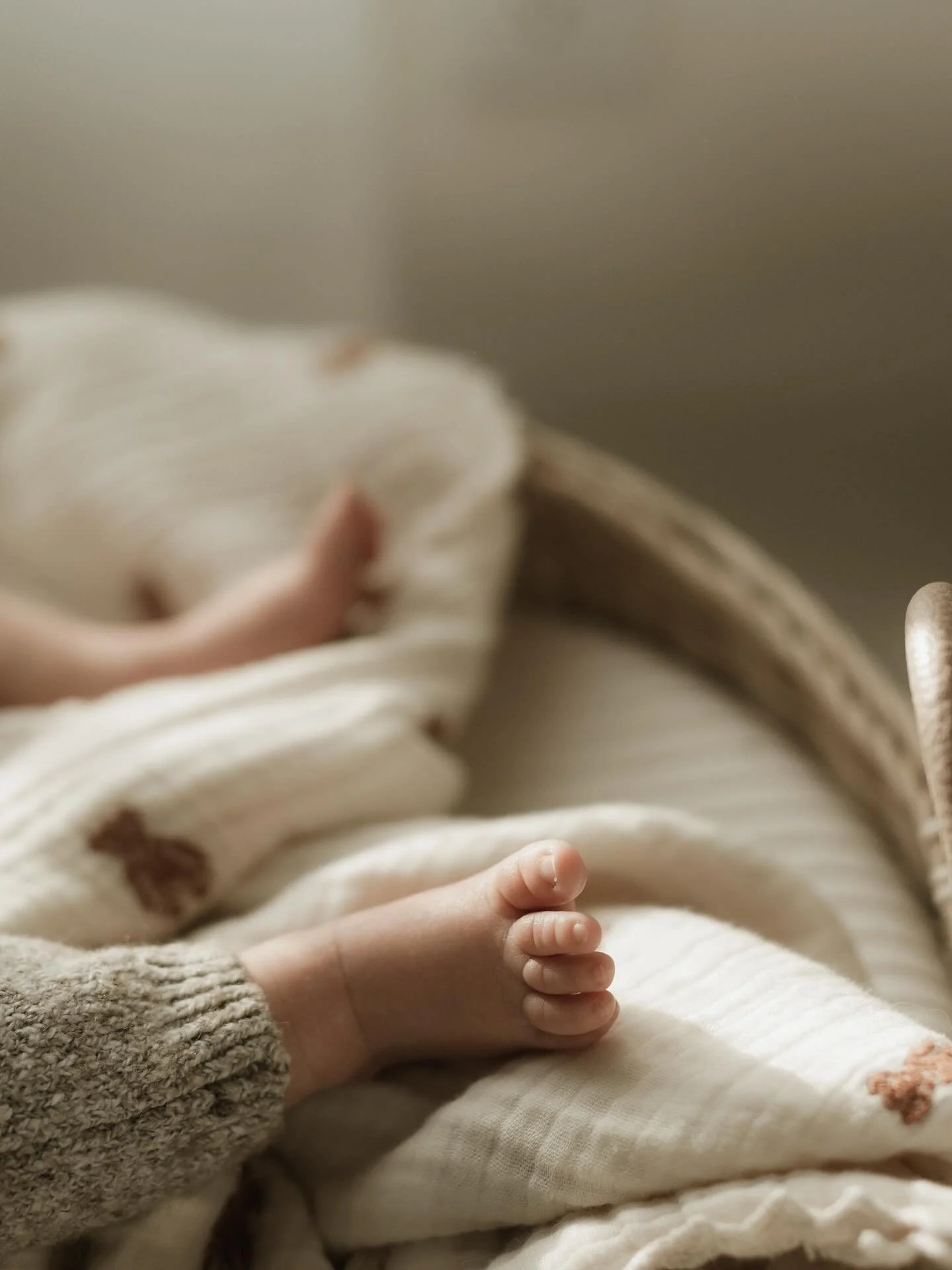 sooooo many babies this month 🤍