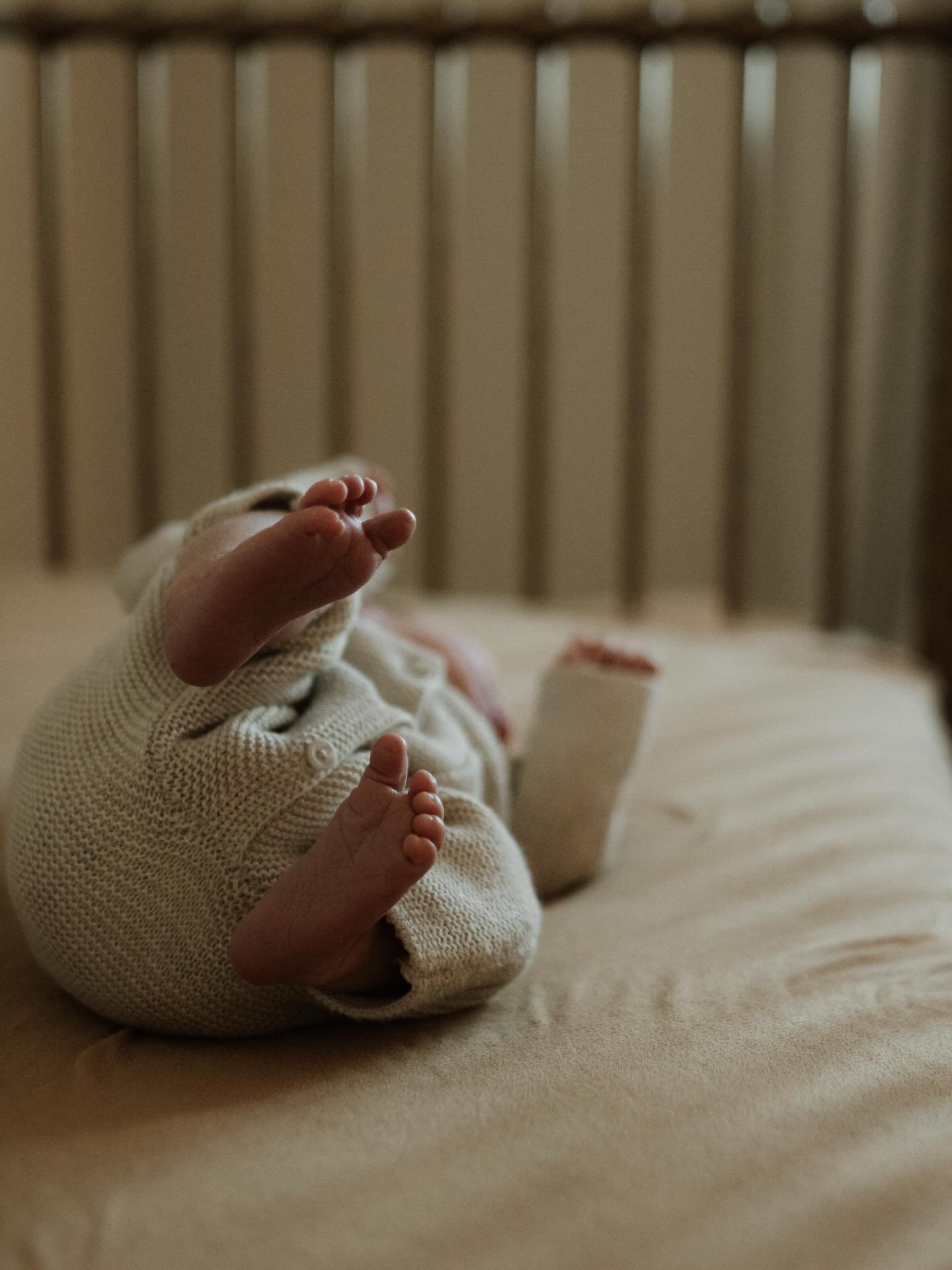 Welcome home Jack 🏠