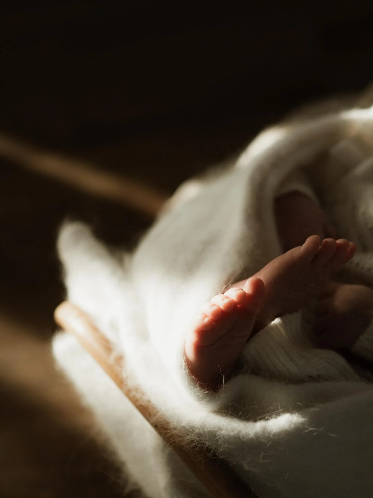 4 newborns in the studio this week and my heart is so full 🤎