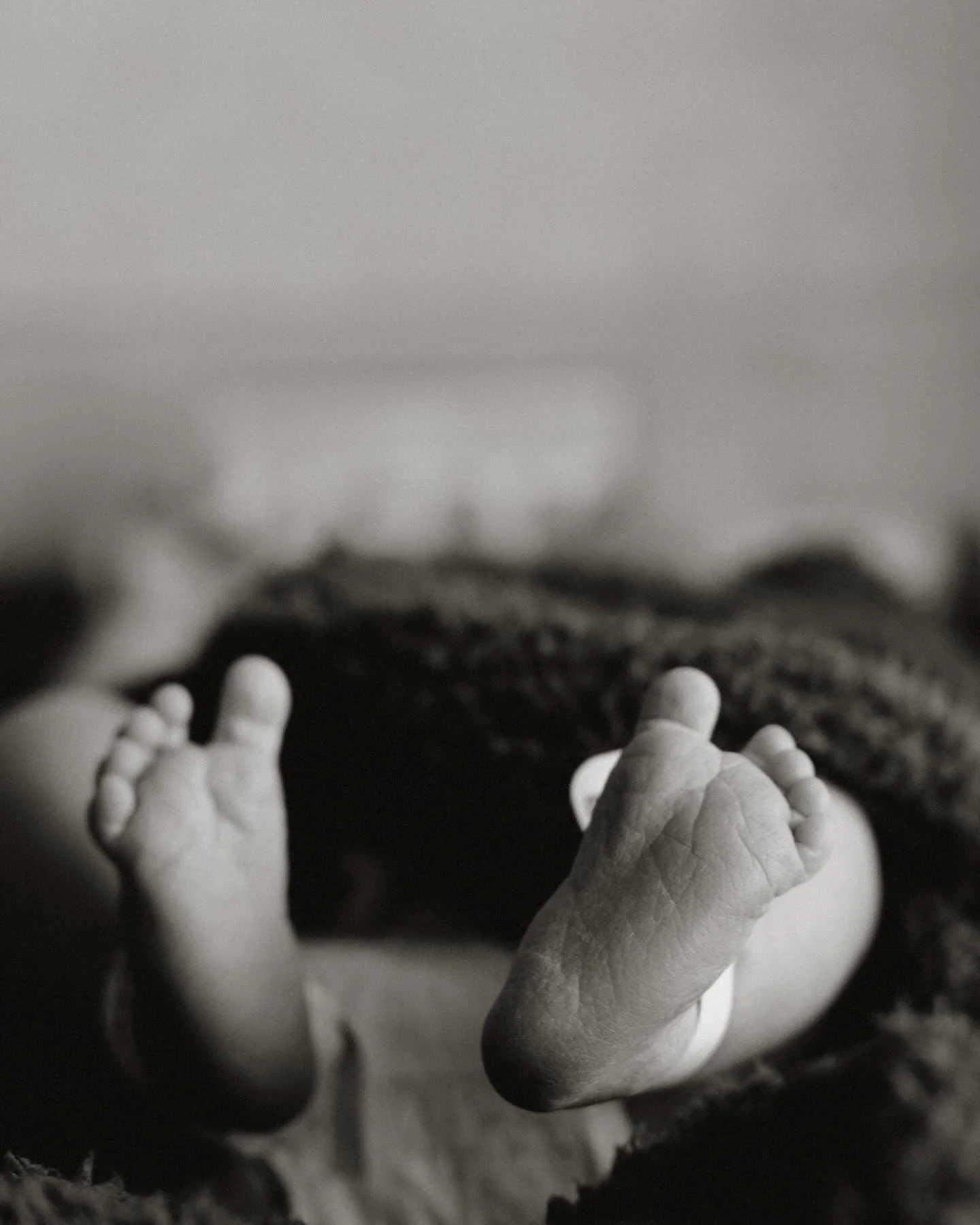 Baby Cam. 24 hours fresh.