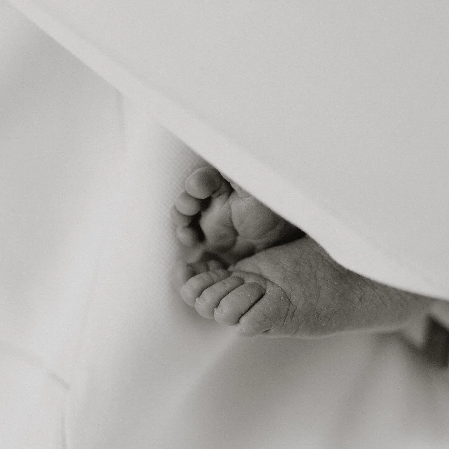 coming at you with another sweet little babe ☁️