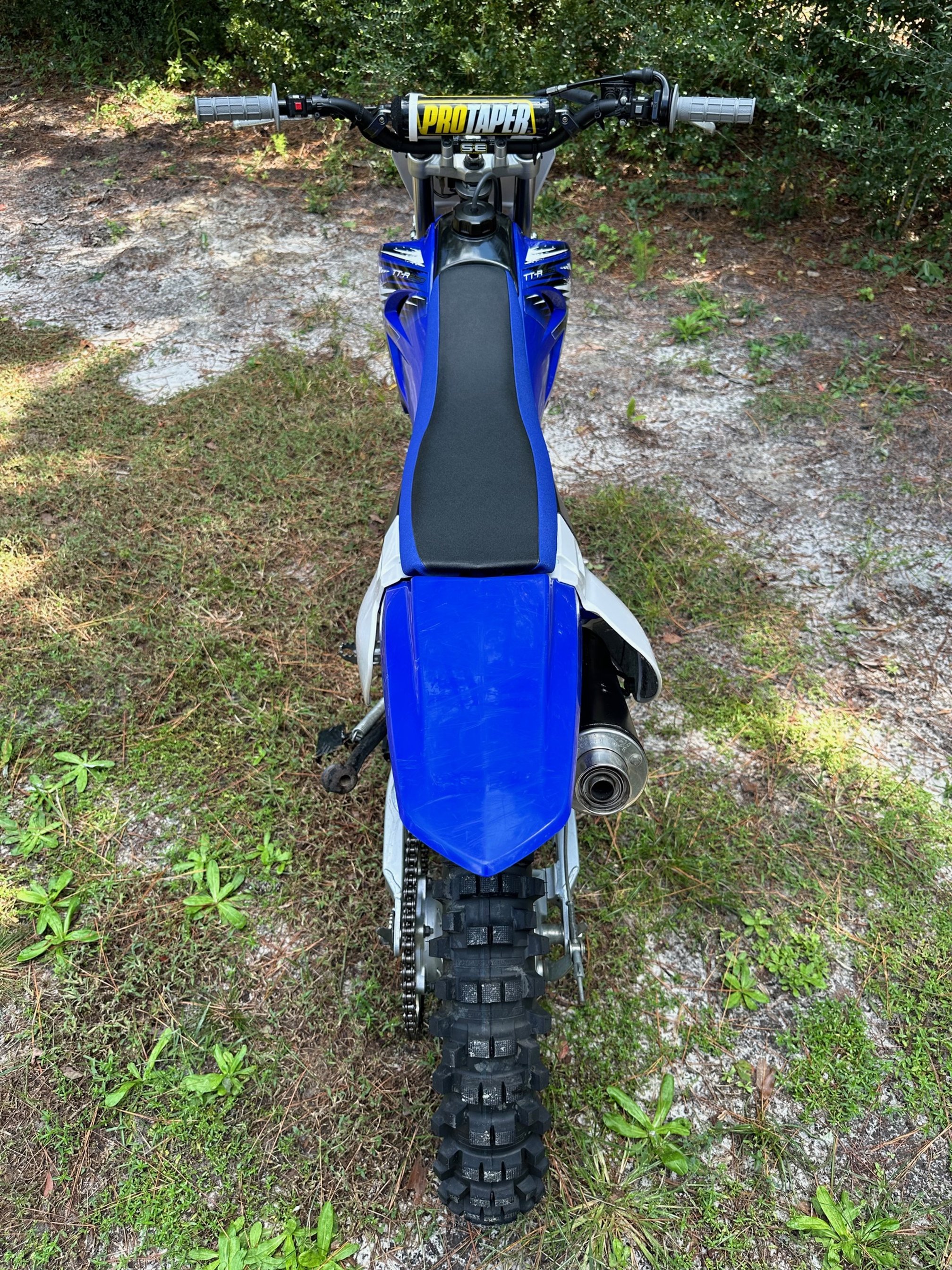 TTR230Rear.jpeg