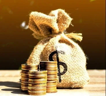 money bag.jpg