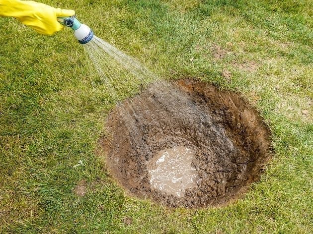1147EN-planting-large-shrubs-and-trees.-watering-hole-web-original.jpg