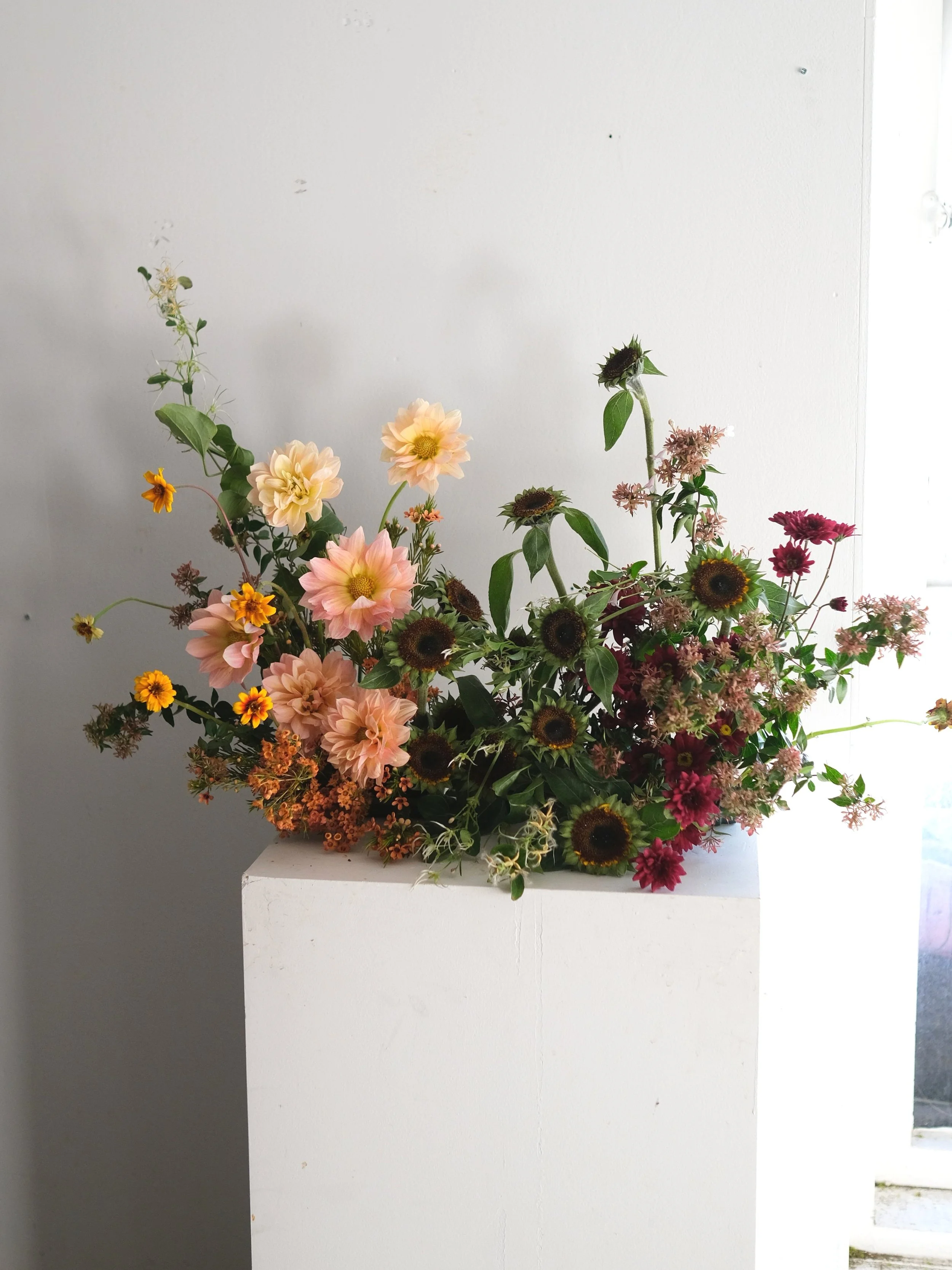DSCF3888.jpg