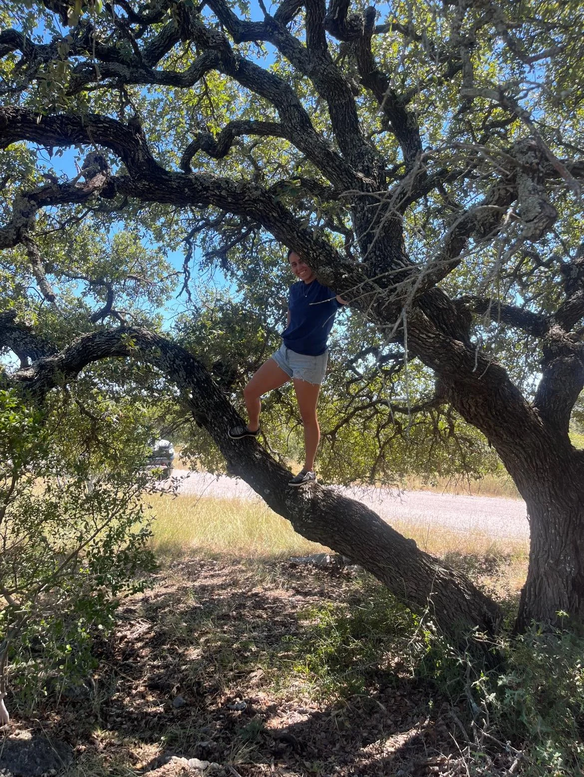 El &Aacute;rbol 🌳 y sus ramas, representaci&oacute;n del progreso y crecimiento de cada persona.

&bull;
&bull;