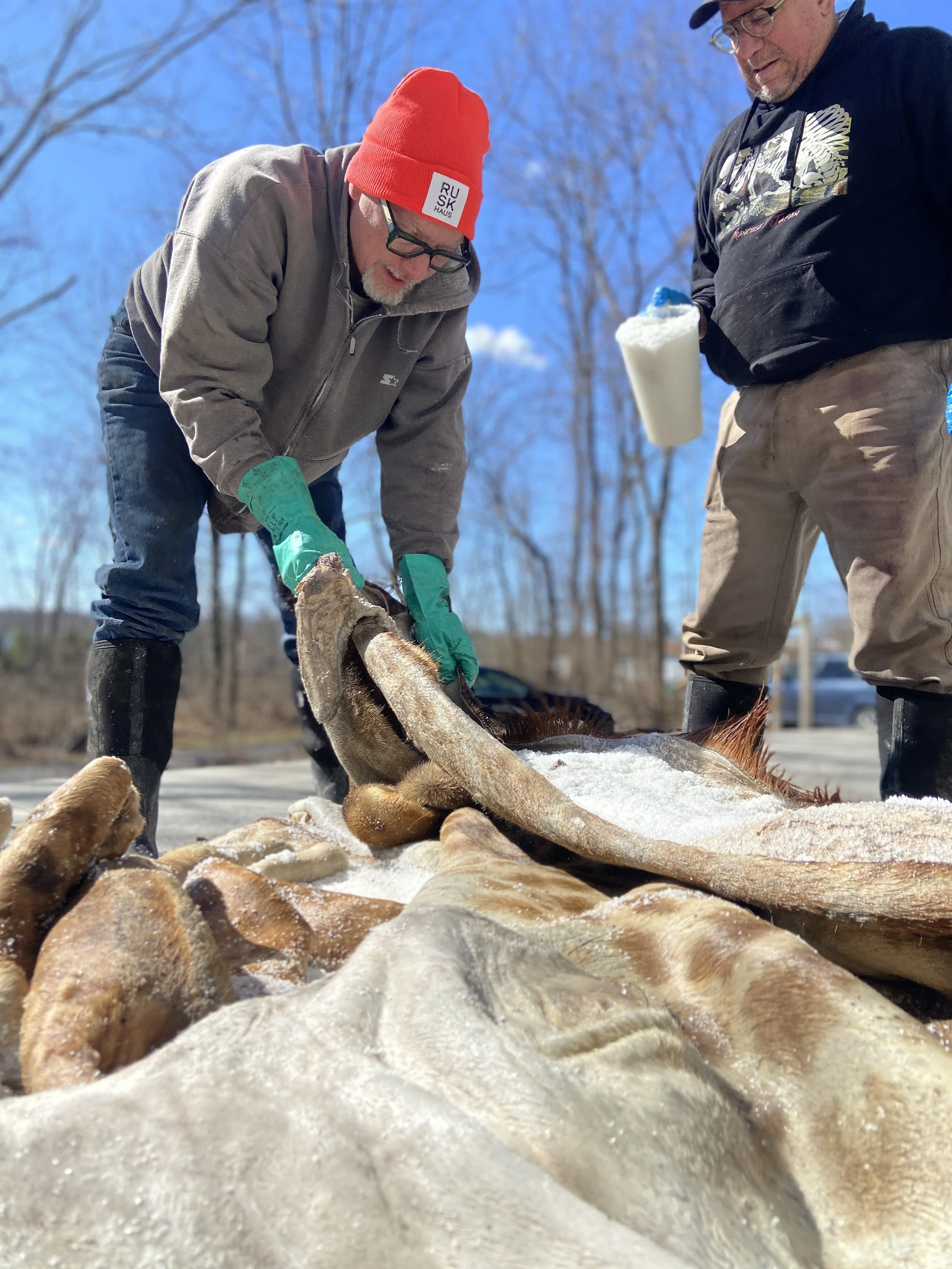Two men are cleaning and processing a large fish outdoors on a sunny day, with trees in the background.