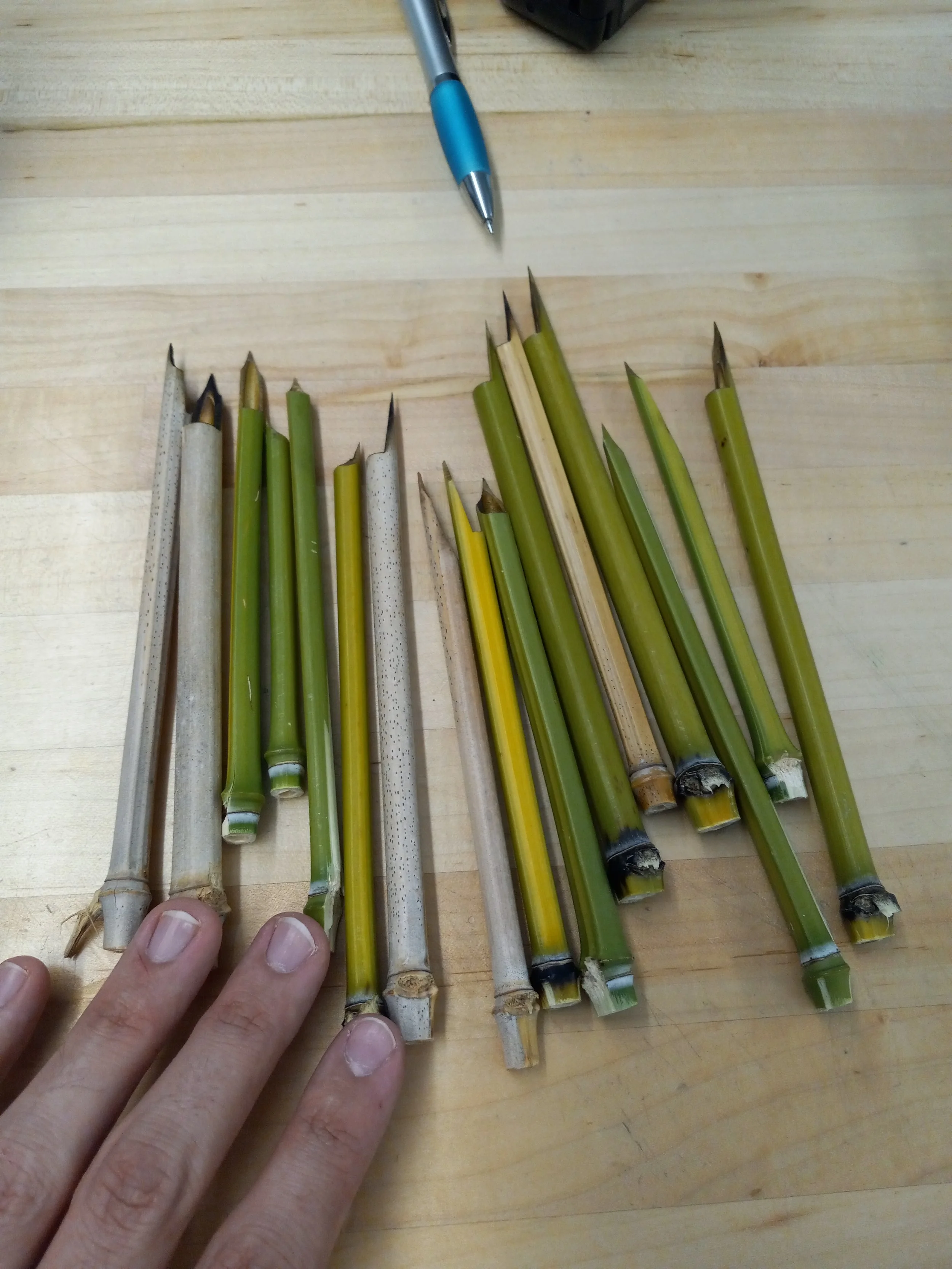 A person's hand with three fingers visible, resting near a collection of green and yellow bamboo sticks with cut ends, laid out on a wooden table. A blue pen and part of a black object are also visible on the table.