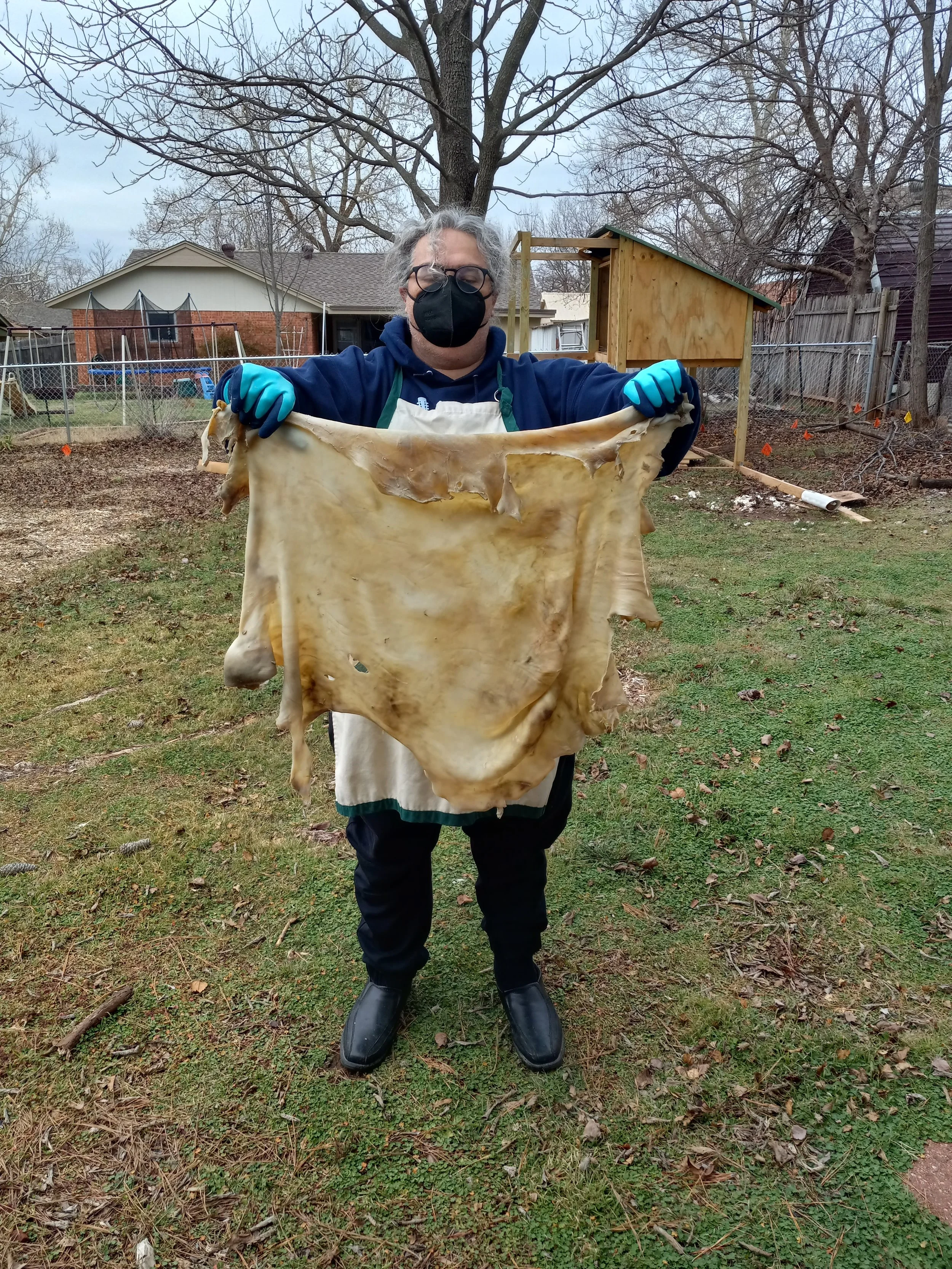 Person wearing a mask and gloves holding a large piece of dried animal hide in a backyard.