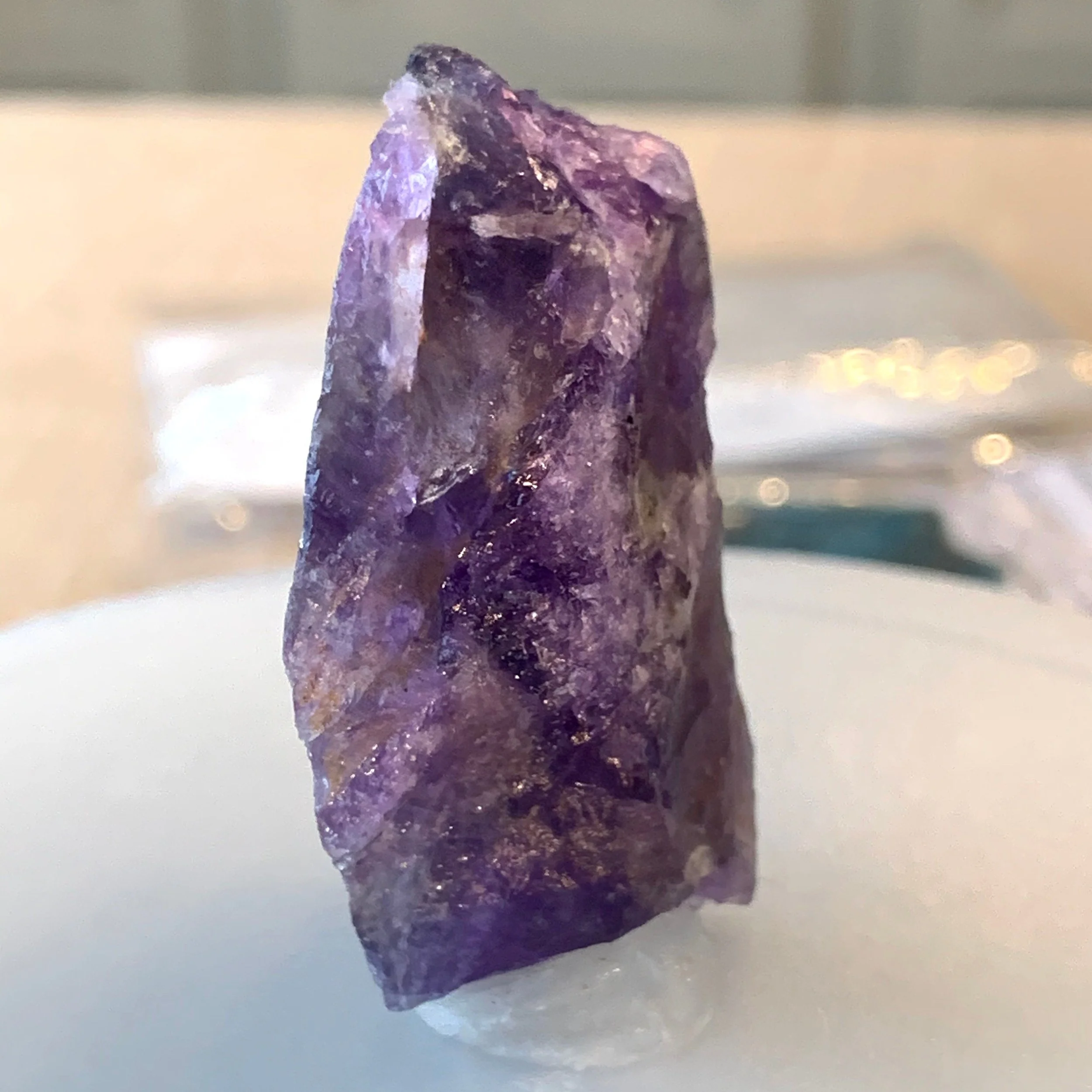 https://i.etsystatic.com/18428199/r/il/43c52a/2737513610/il_fullxfull.2737513610_95q5.jpg